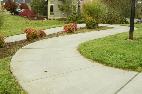 Concrete Sidewalk Replacement in Santa Rosa