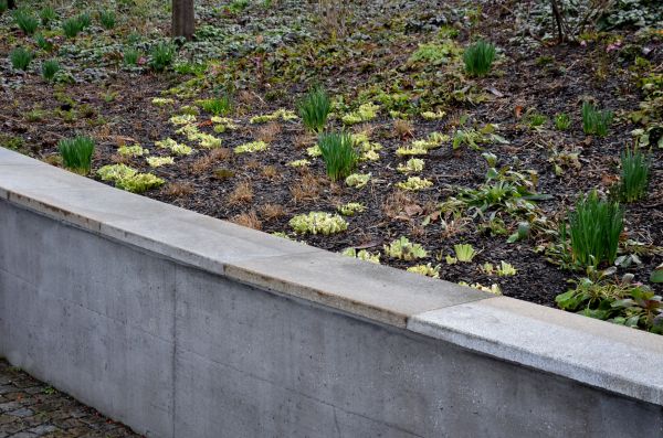 Concrete Wall Construction in Santa Rosa