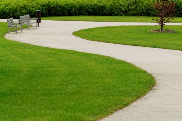 Sidewalk Concrete Service in Santa Rosa