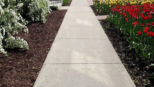 Sidewalk Slab Replacement in Santa Rosa