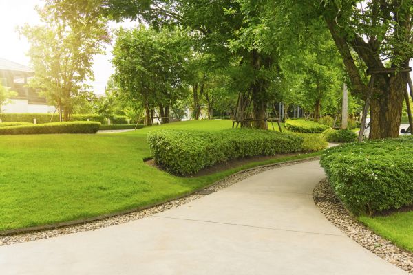 Walkway Concrete Installation in Santa Rosa