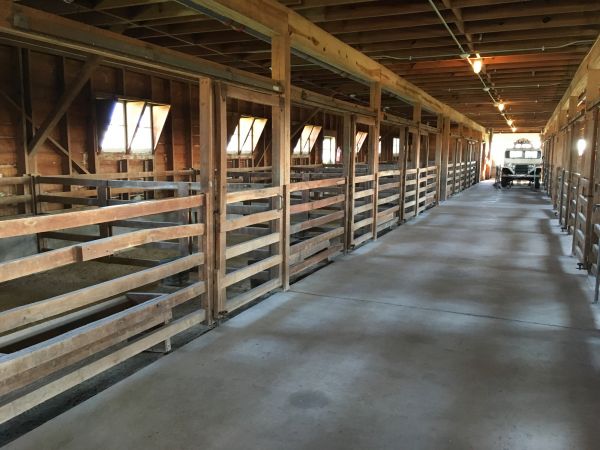 Barn Slab Construction in Santa Rosa
