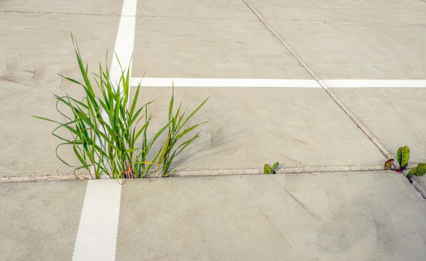 Concrete Parking Installation in Santa Rosa