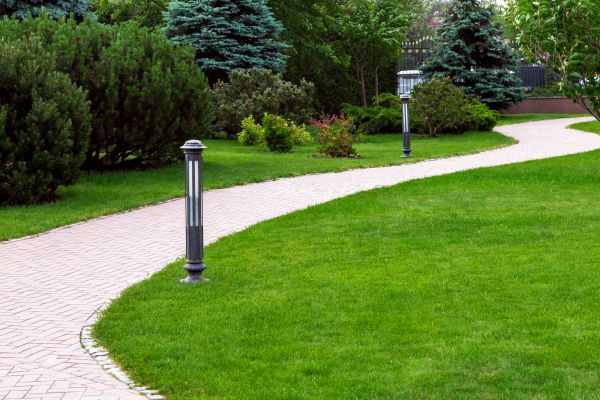 Backyard Sidewalk Installation in Santa Rosa
