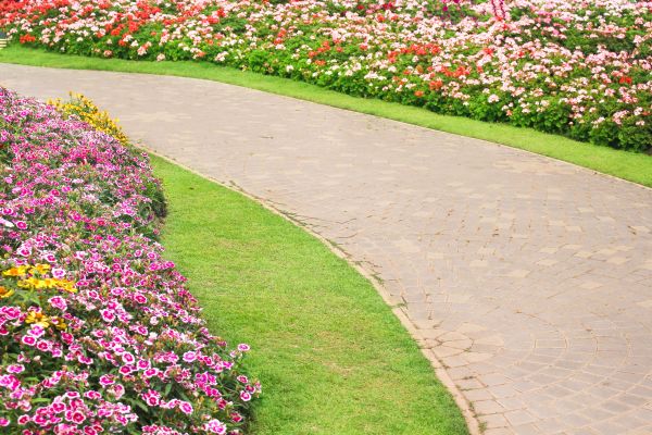 Concrete Walkway Service in Santa Rosa