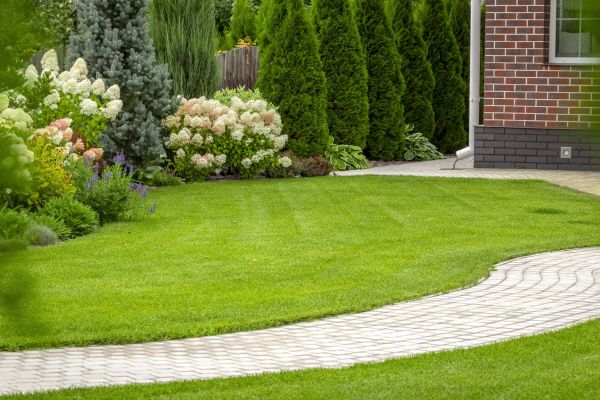 Landscape Walkway Installation in Santa Rosa