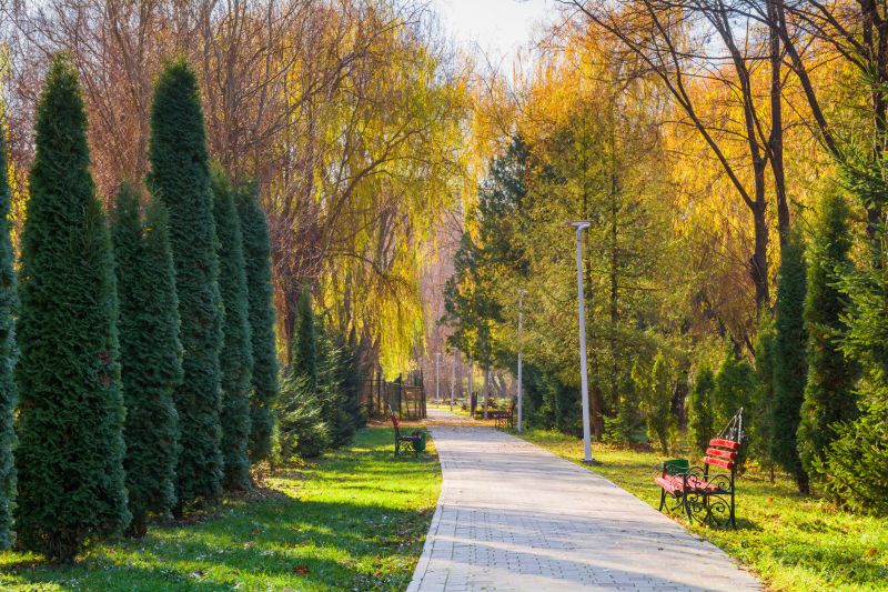 Paved Walkway Construction